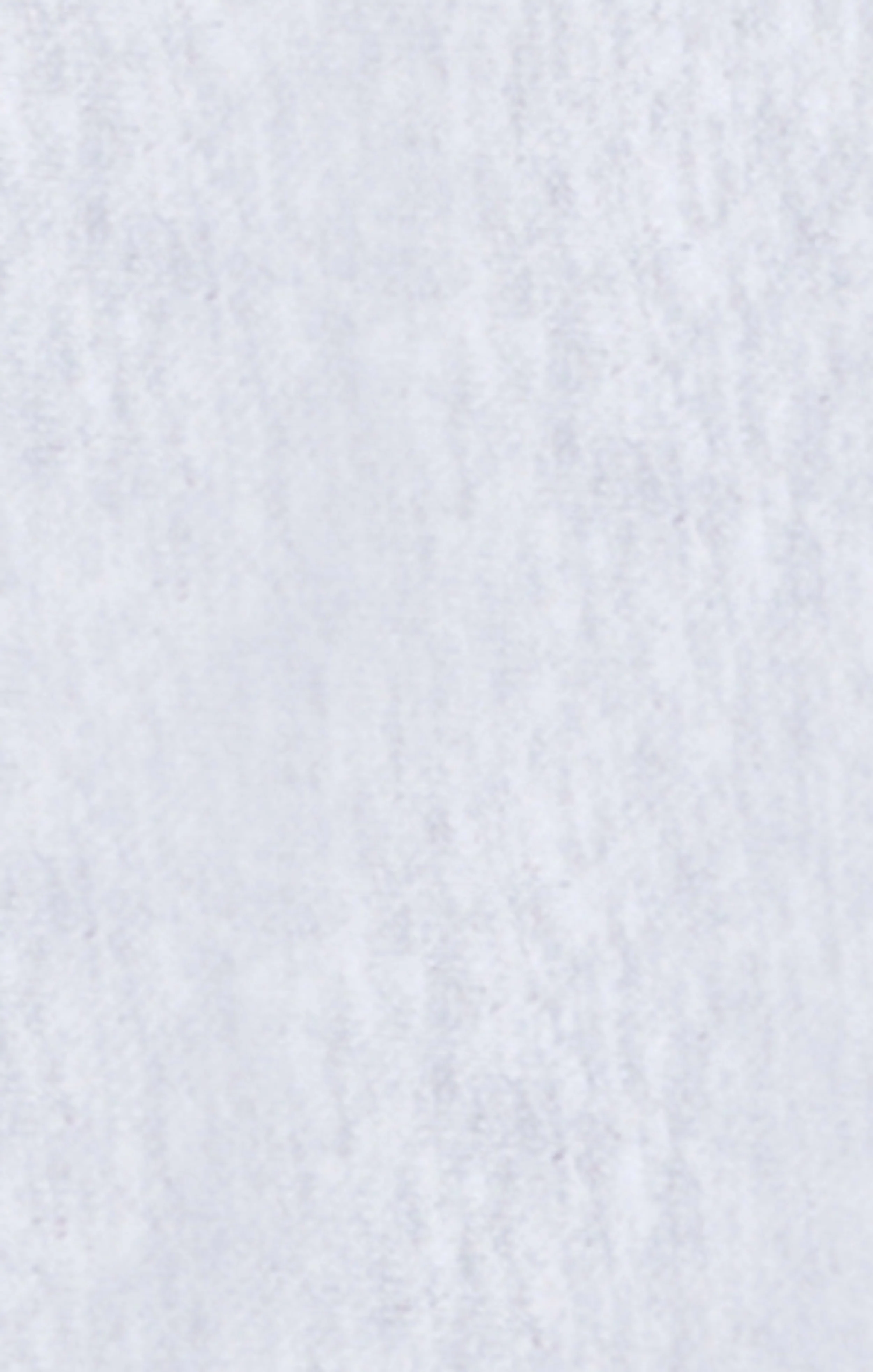 Men’s Lightweight Crewneck Sweatshirt Reverse Weave - Image 8
